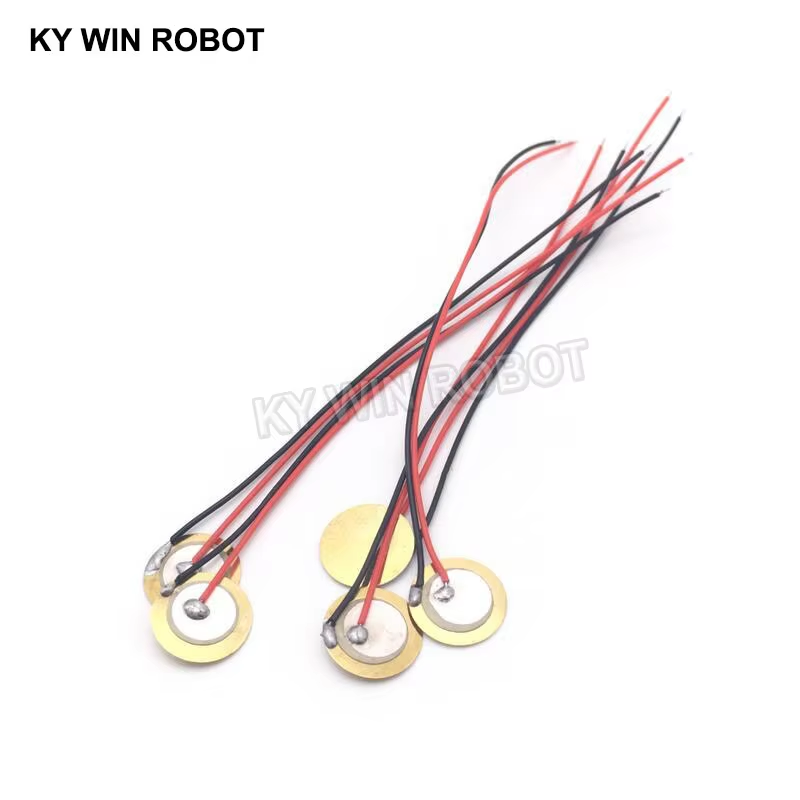 10 Buah Pelat Wafer Keramik Pi - Diy Electronic Components ulasan dan harga