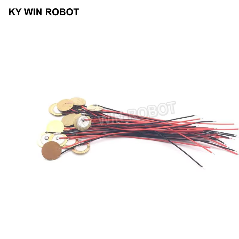 10 Buah Pelat Wafer Keramik Pi - Diy Electronic Components ulasan dan harga